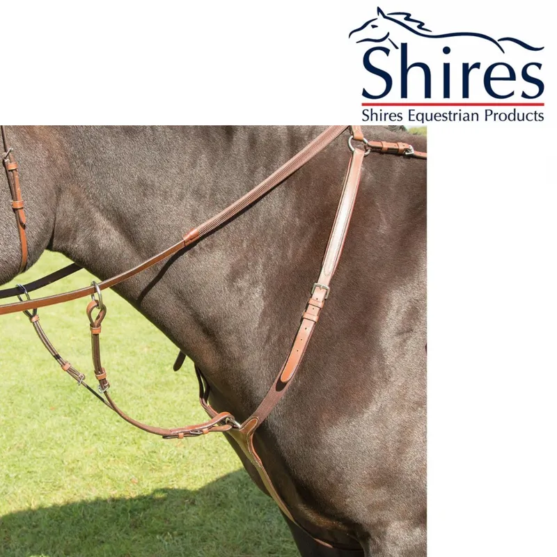 Shires Avignon Breastplate 4228- Oak 